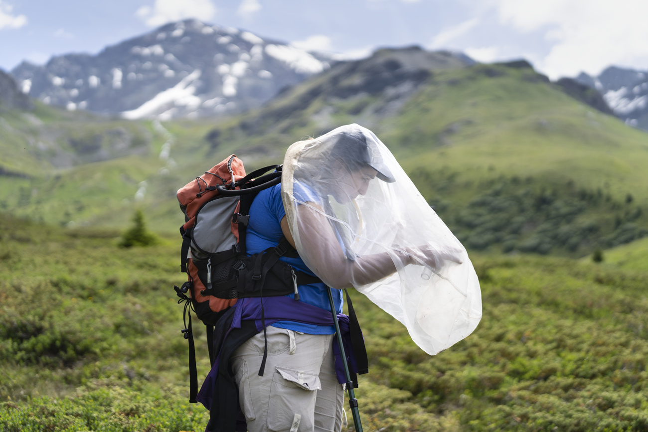 Picture of woman with bee net in the mountains