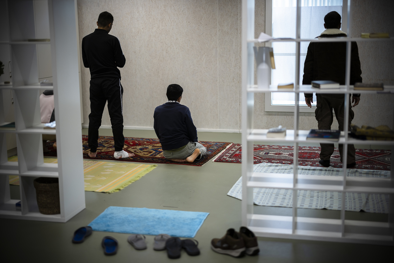 Picture of an asylum centre with some men seeing from the back