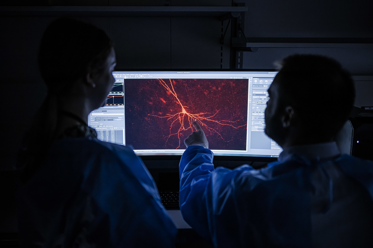 Scientists at the Campus Biotech in Geneva study at the inauguration of the "NeuroNA" neuroscience platform.