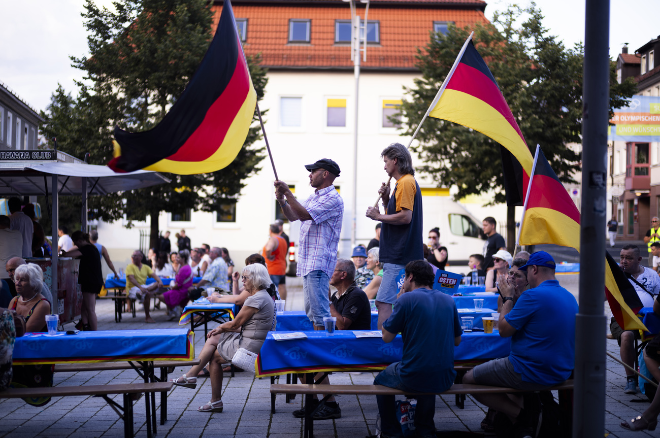 AfD voters in Germany