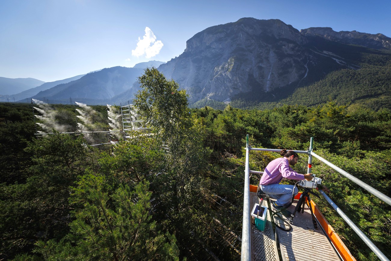 Man standing on platform near Swiss forest.