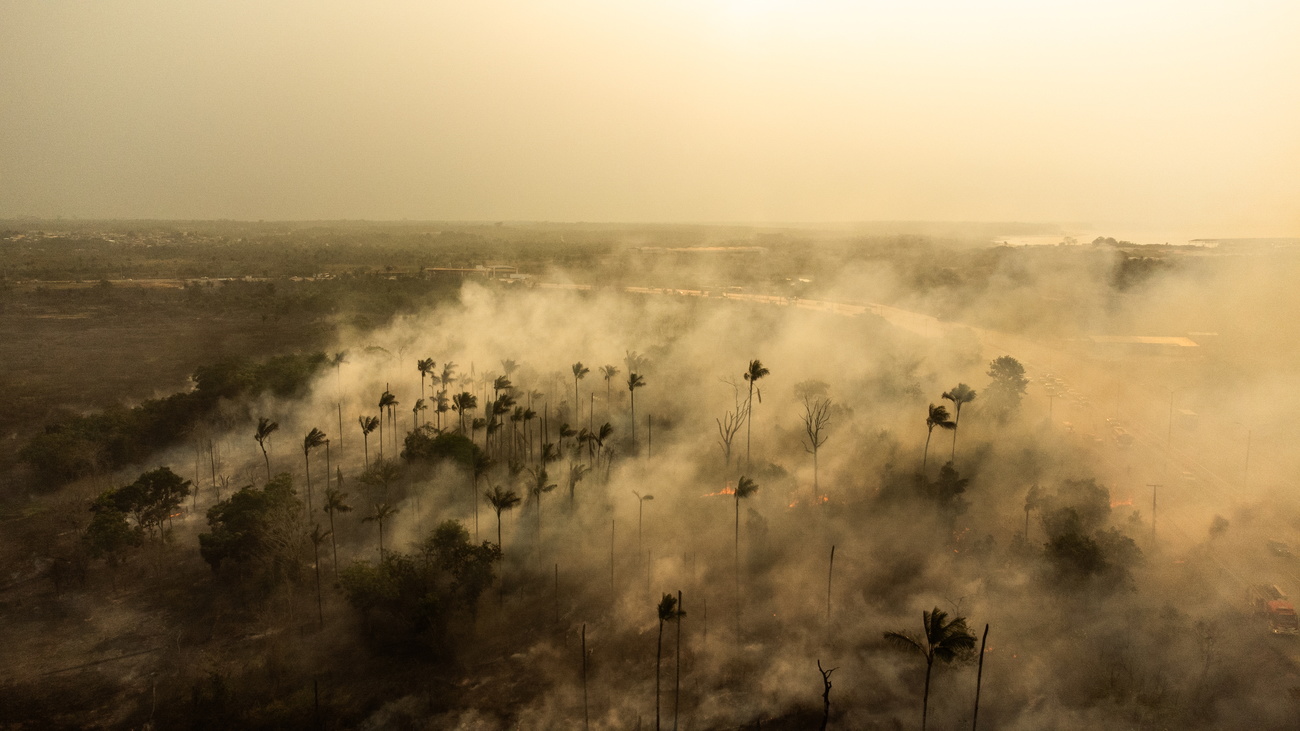 Amazonas ardiendo