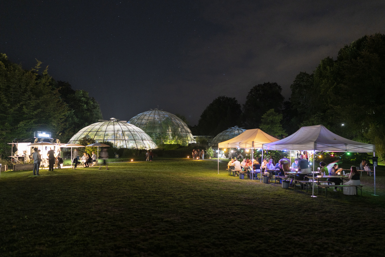 Giardino botanico di Zurigo ripreso di notte.