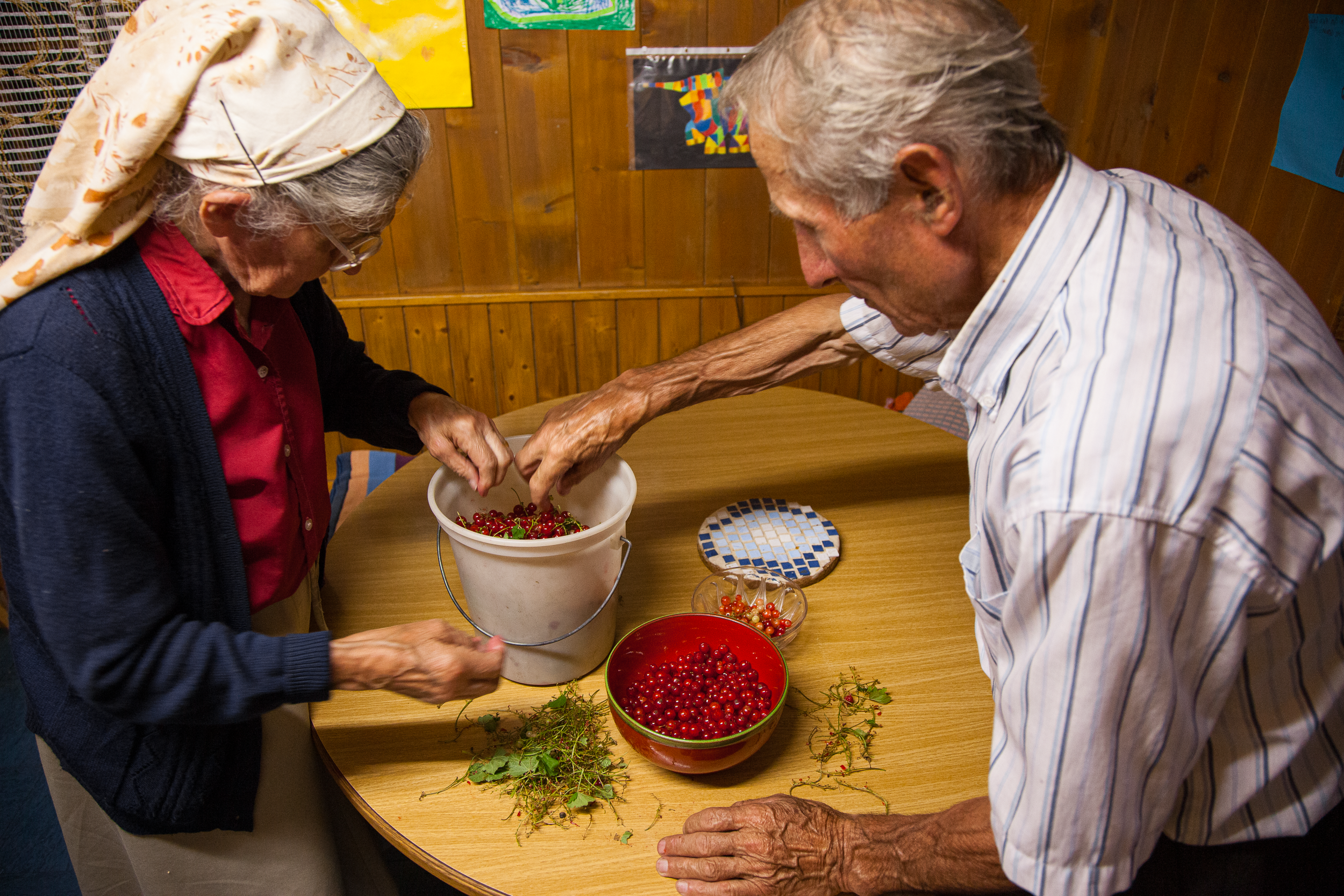 Casal de idosos com frutas na mesa