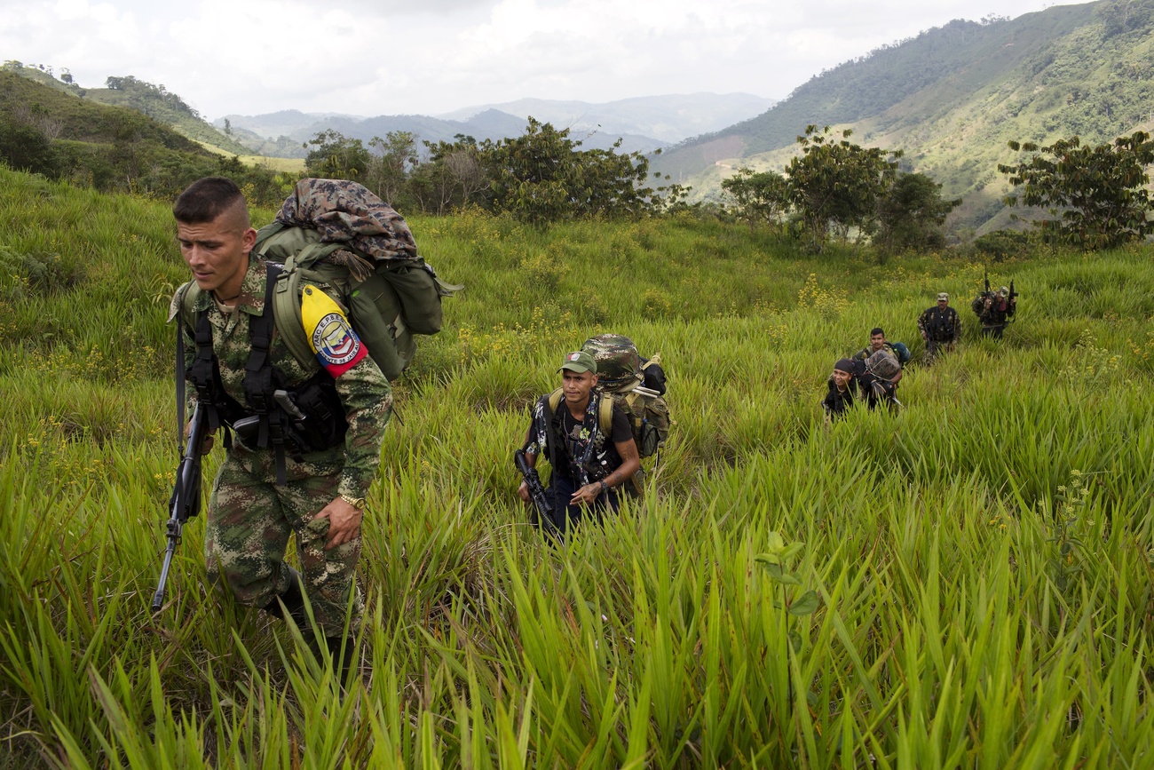 En esta foto del 6 de enero de 2016, miembros del 36º Frente de las Fuerzas Armadas Revolucionarias de Colombia (FARC) caminan hacia un nuevo campamento en el estado de Antioquia, en los Andes del noroeste de Colombia.