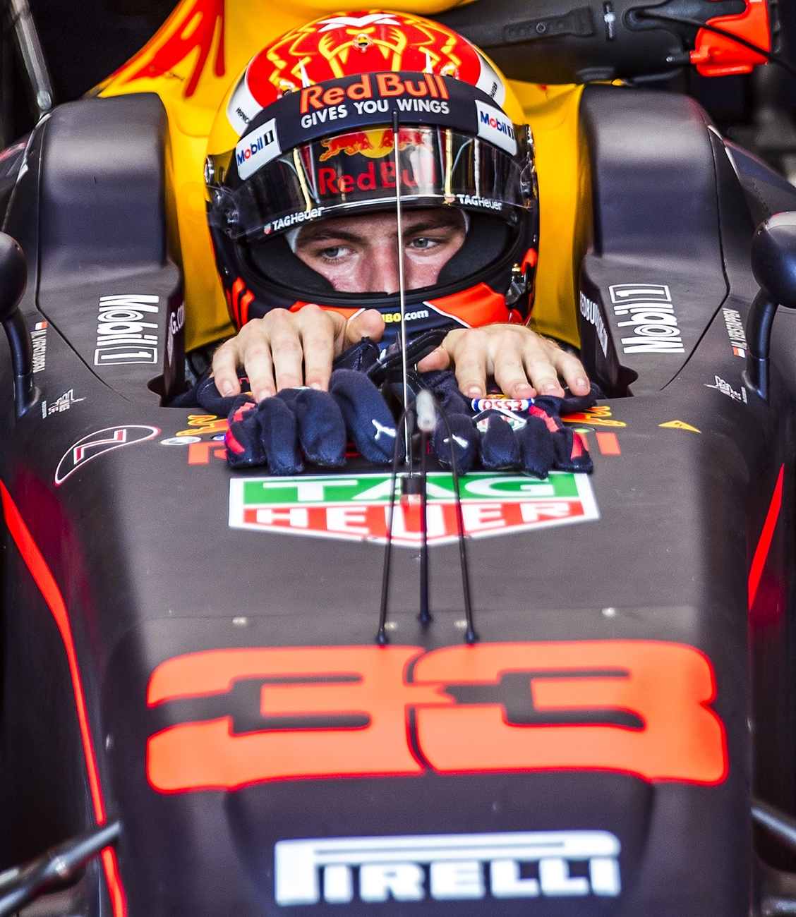 Max Verstappen