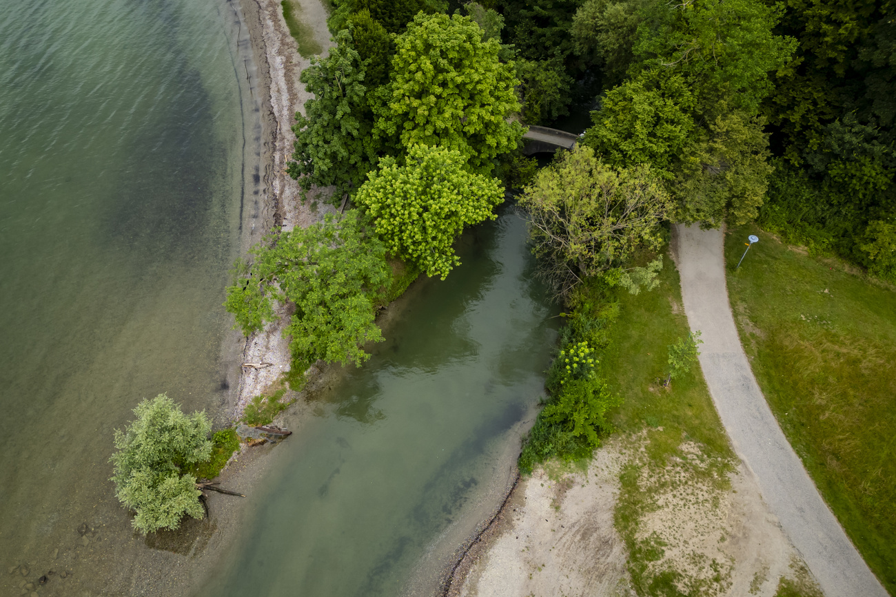 riva del lemano dall'alto