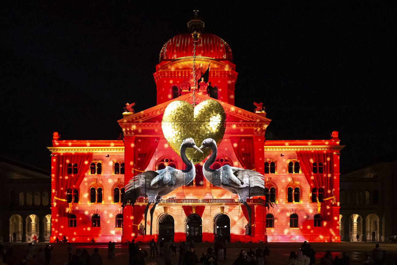 Vögel werden im Rahmen einer Lichtshow auf das Bundeshaus projeziert