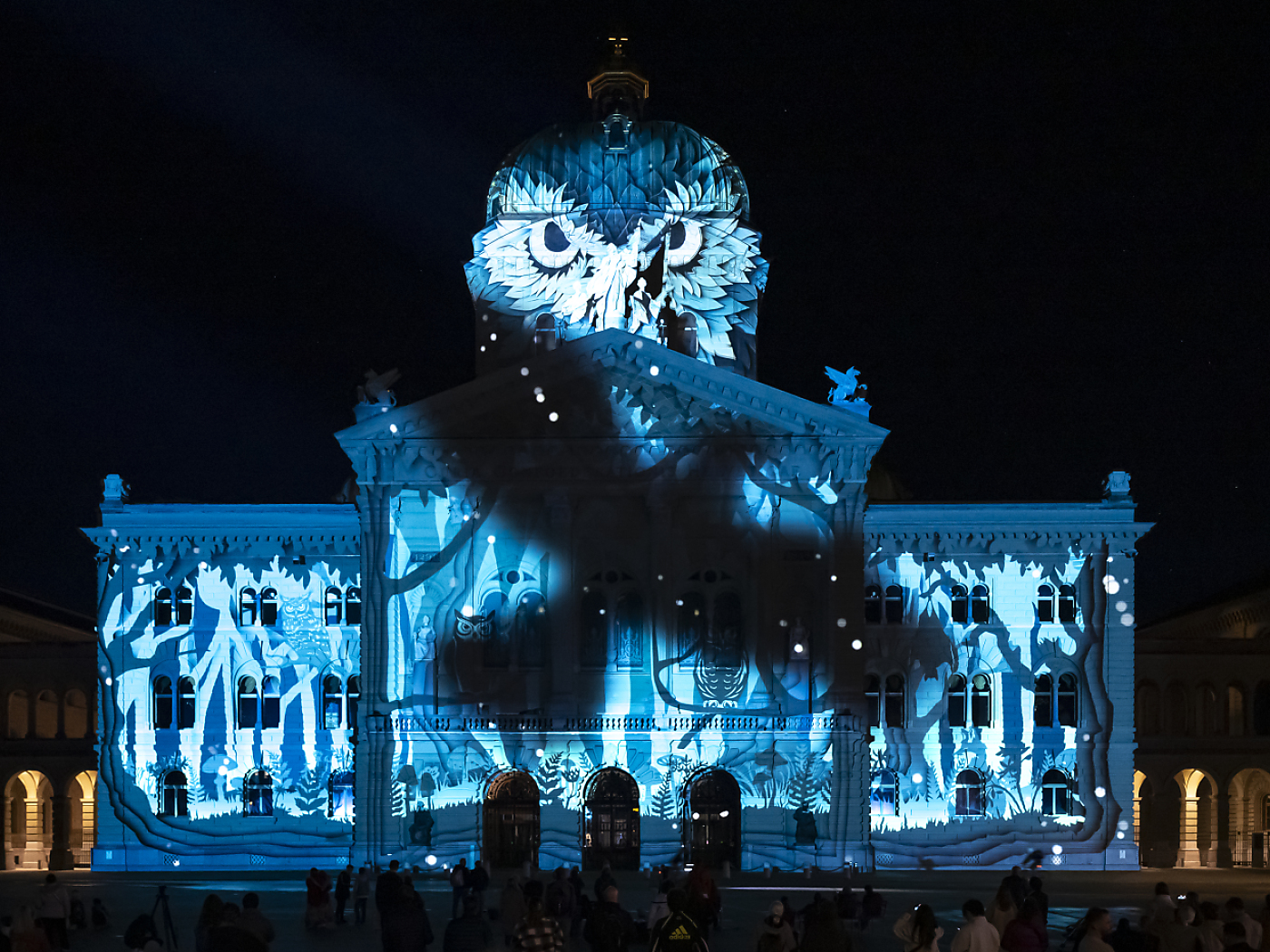 Local birds are the stars of this year's Bern Light Show