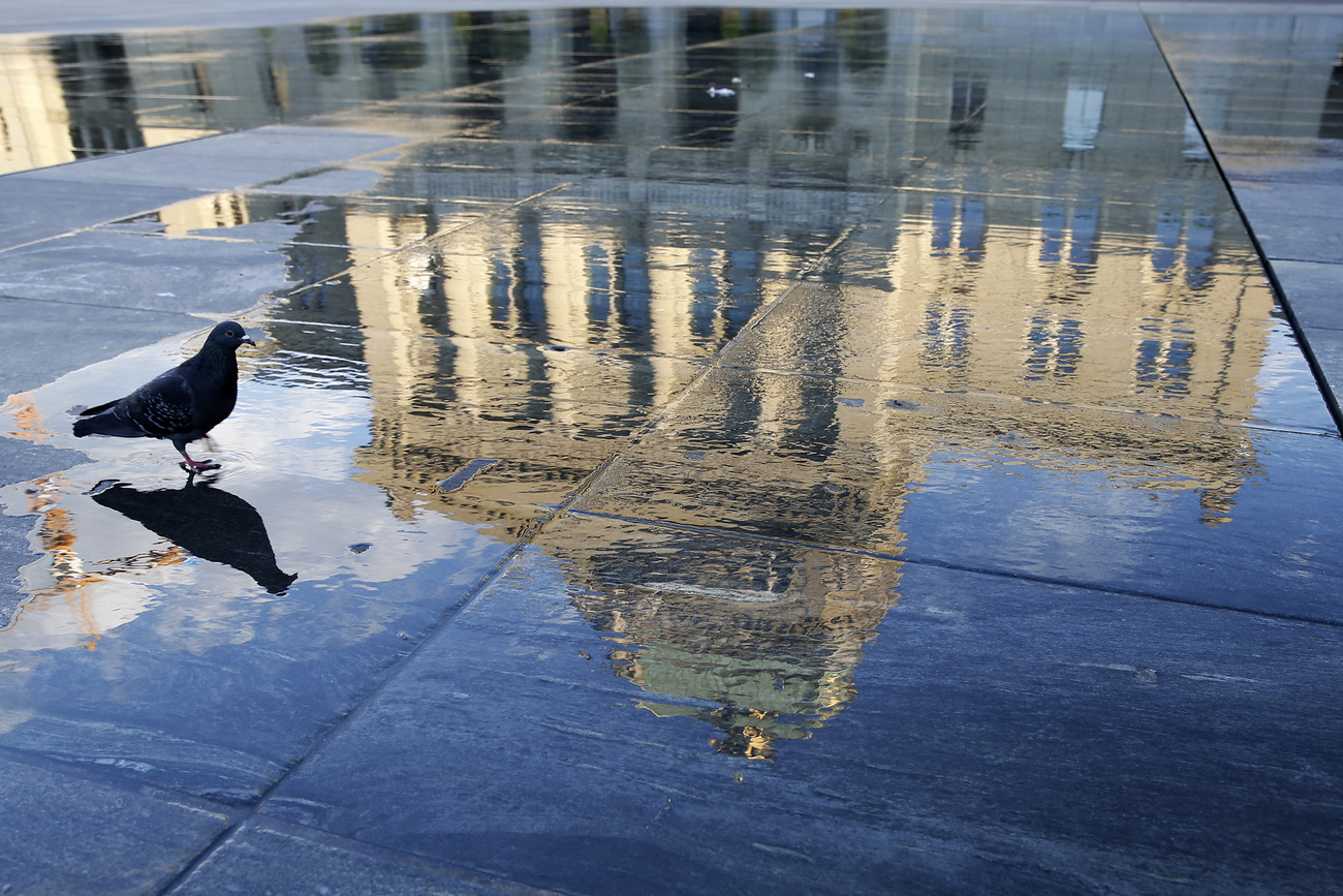 Reflection of federal parliament building.