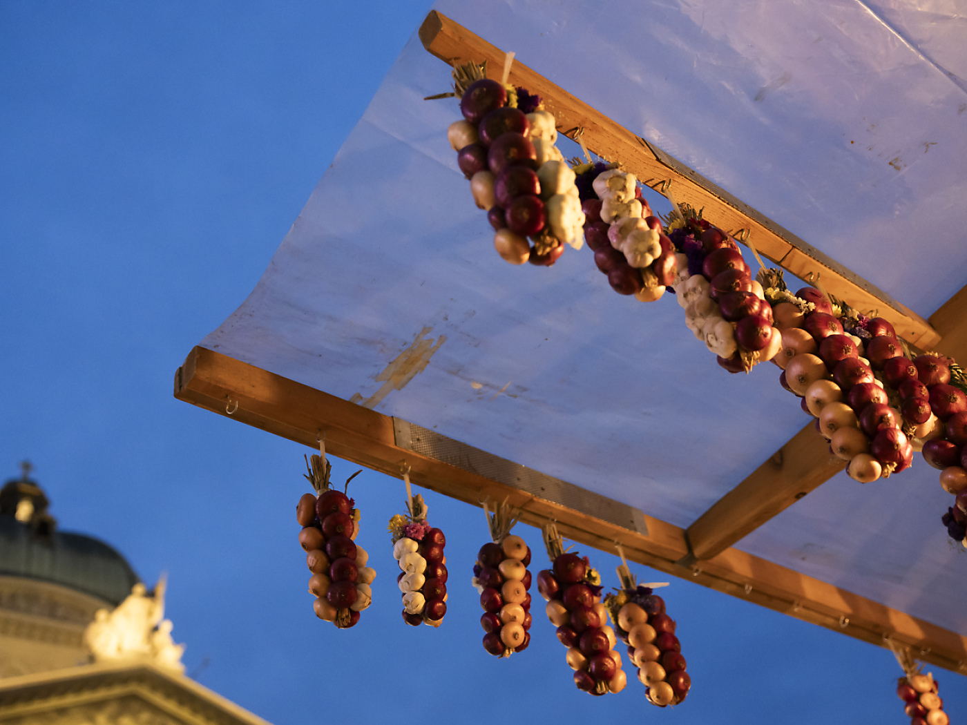 Climate and lack of pesticides affect the onion