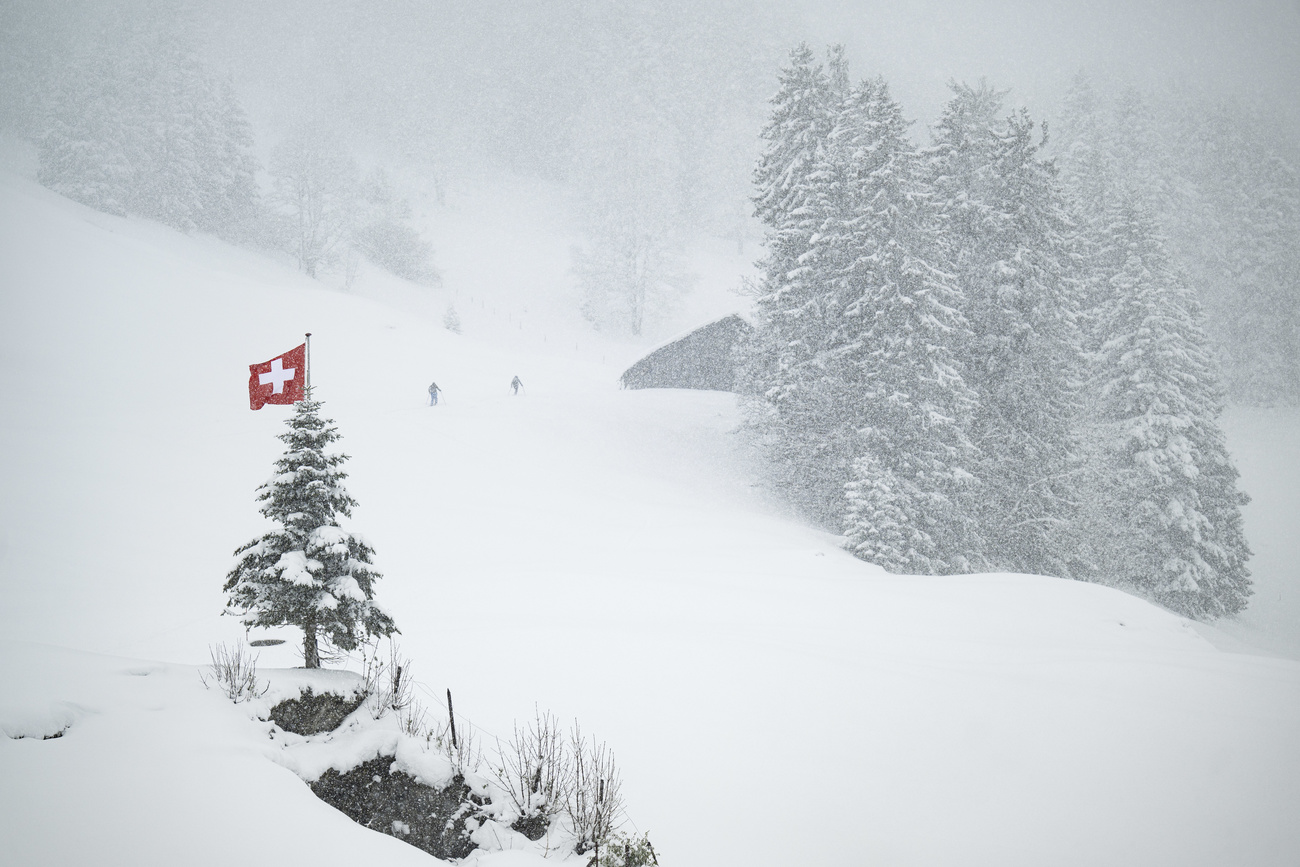 pista da sci innevata