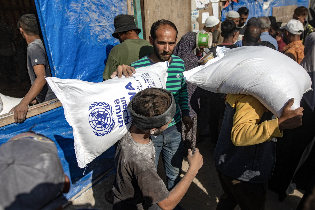 UNRWA provides emergency assistance to just over one million Palestine refugees, or about 75 per cent of all Palestine refugees in Gaza, who lack the financial means to cover their basic food.