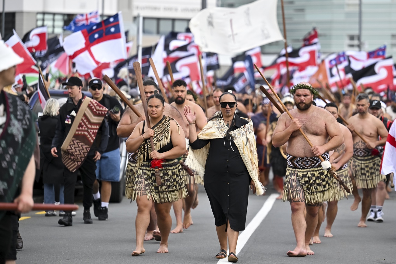 protesta maori a wellington