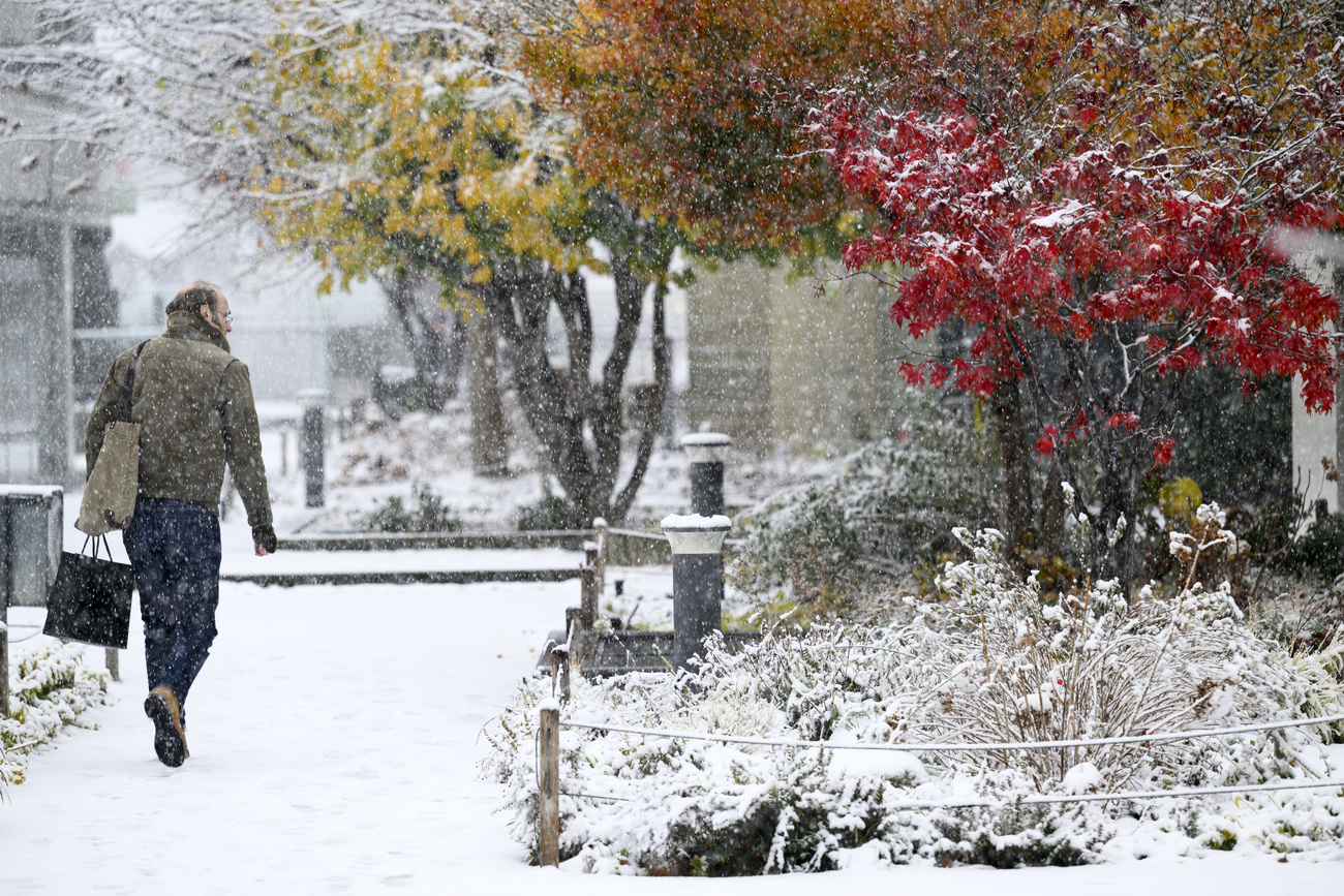 persona nella neve