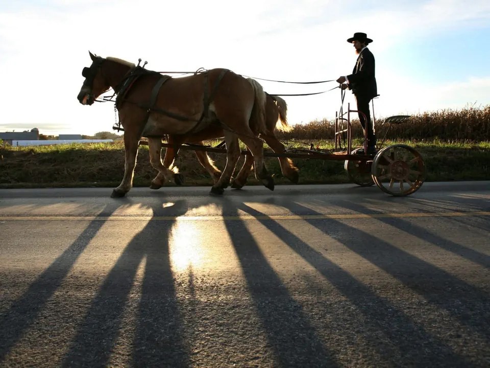 La plupart des Amish refusent les ordinateurs, les téléviseurs et parfois même les voitures.