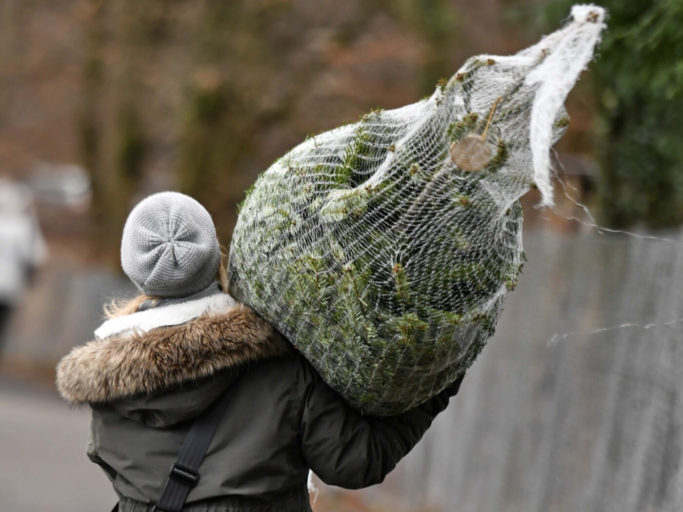 donna fotografata di spalle trasporta un albero di natale