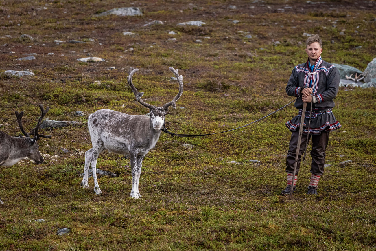 Un éleveur de renne sami dans l'Arctique norvégien.