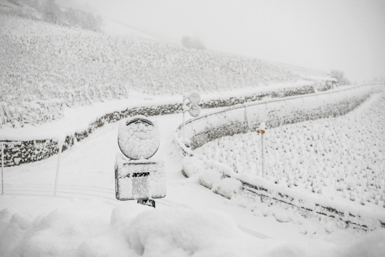 2024年12月23日、ヴァレー州フランテエ付近のブドウ畑は深い雪に覆われた