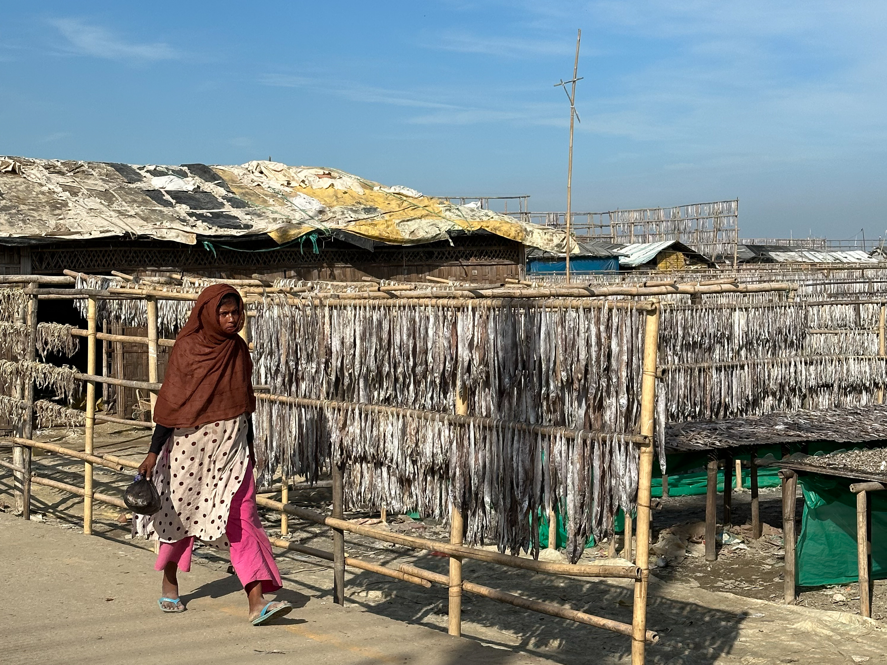 Fish processing in Nazirartek