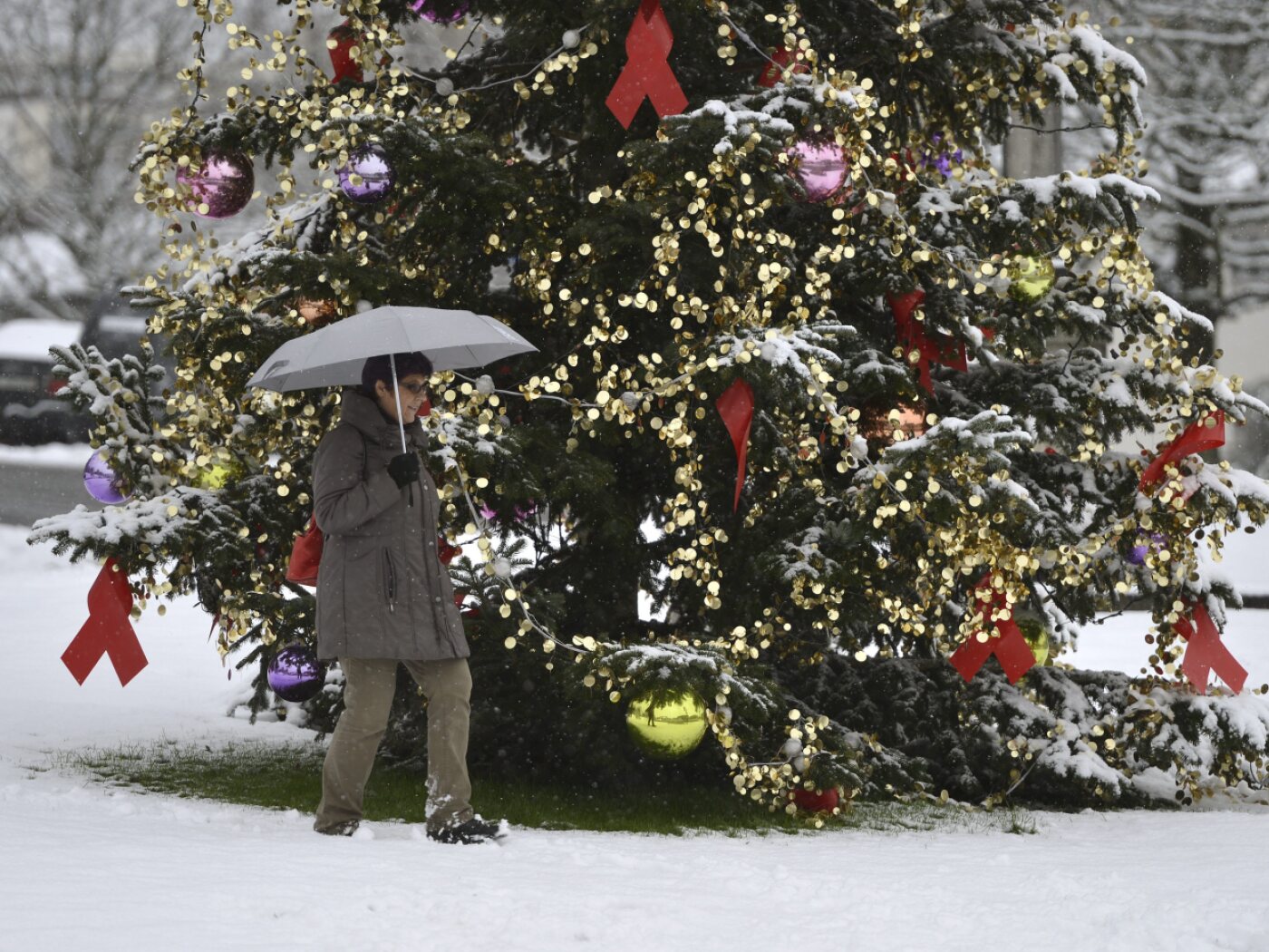 Weather service trends predict a green Christmas