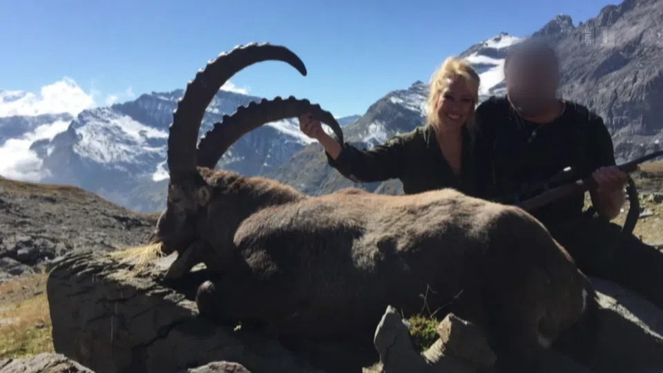 Reiche Ausländerinnen und Ausländer kamen ins Wallis, um auf Steinbock-Trophäenjagd zu gehen.