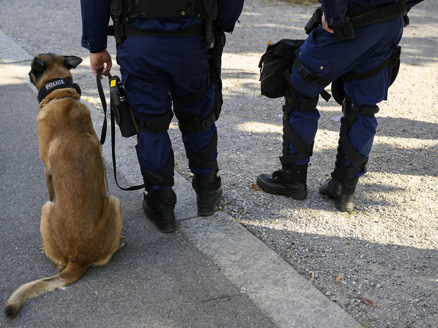 poliziotto con cane