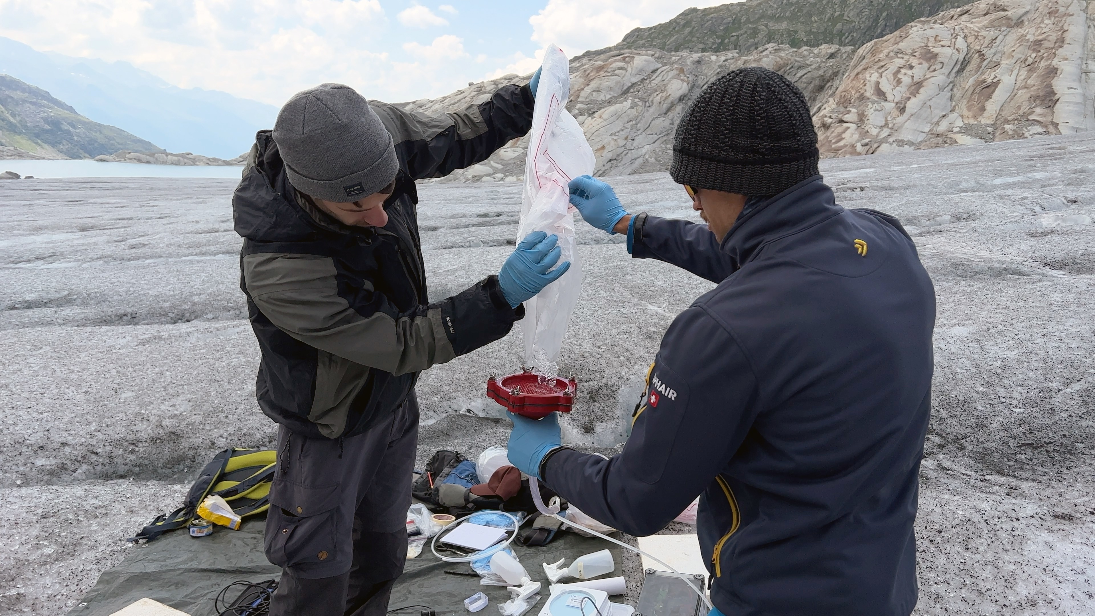 Hunting microorganisms on Rhone glacier