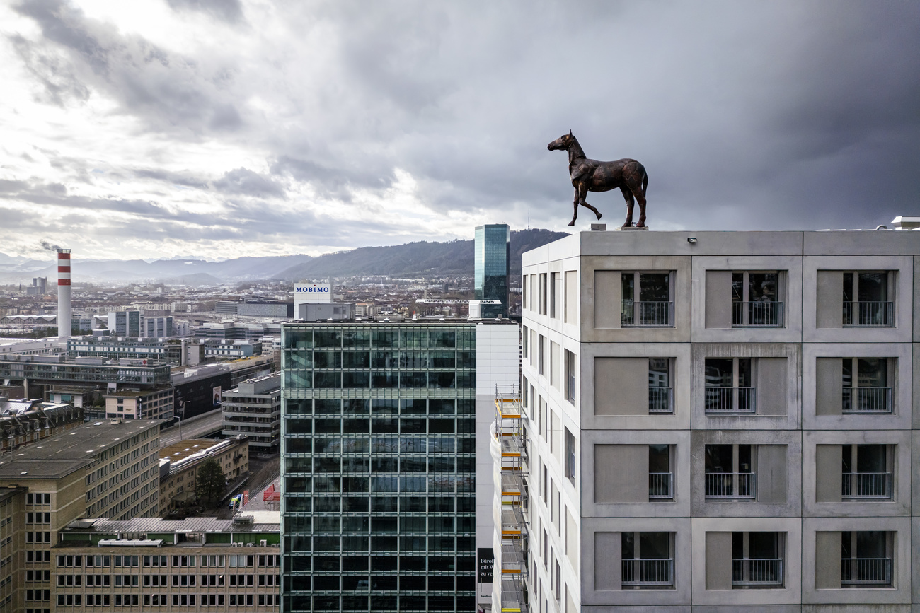 Horse sculpture