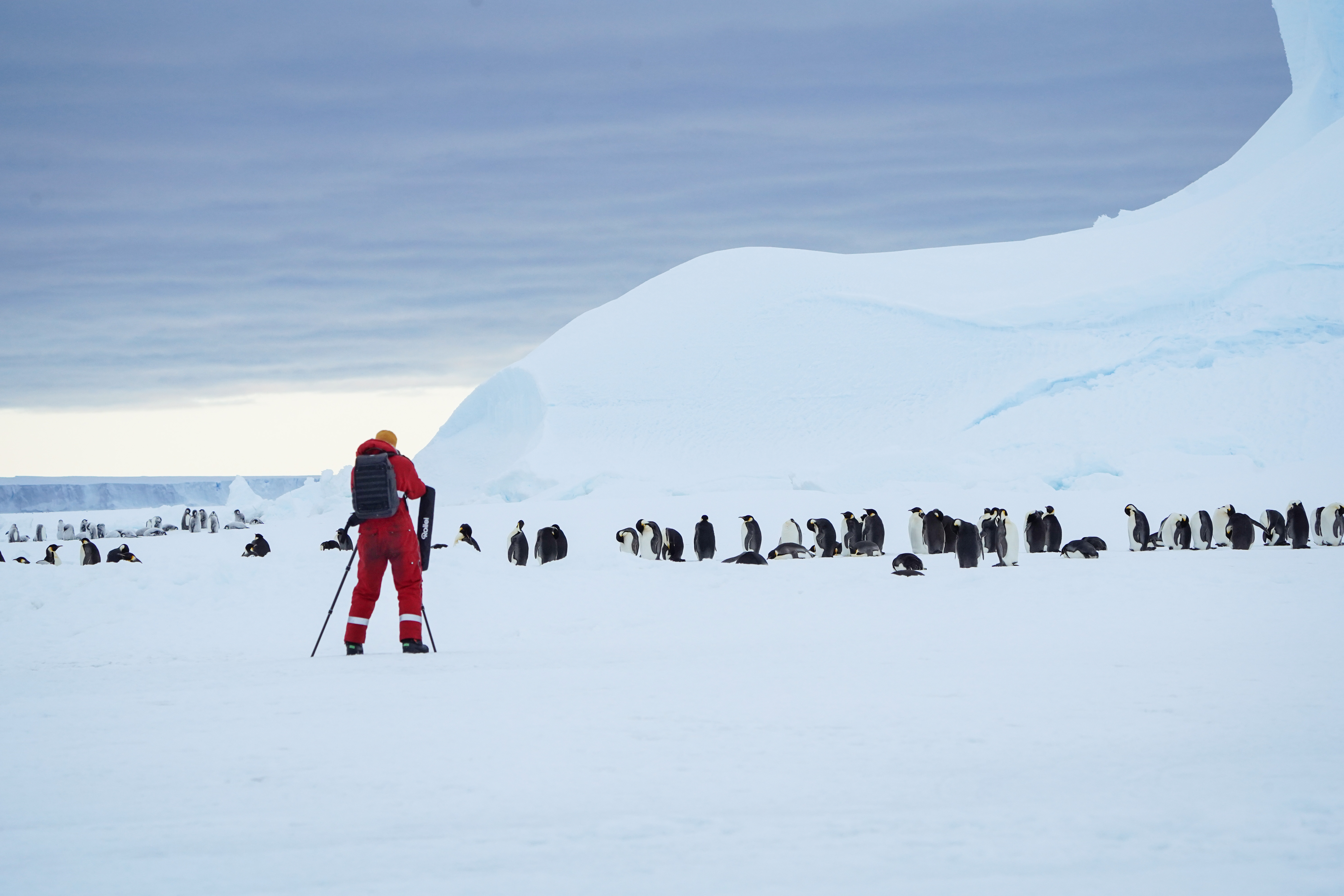 Antarctica