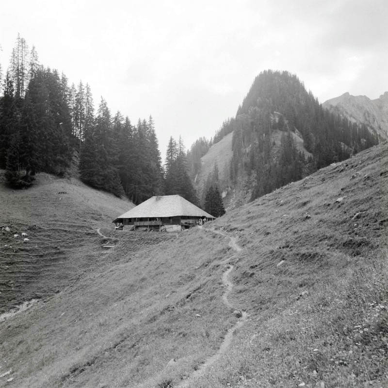 Abgeschiedenes Bauernhaus im Simmental um 1950.