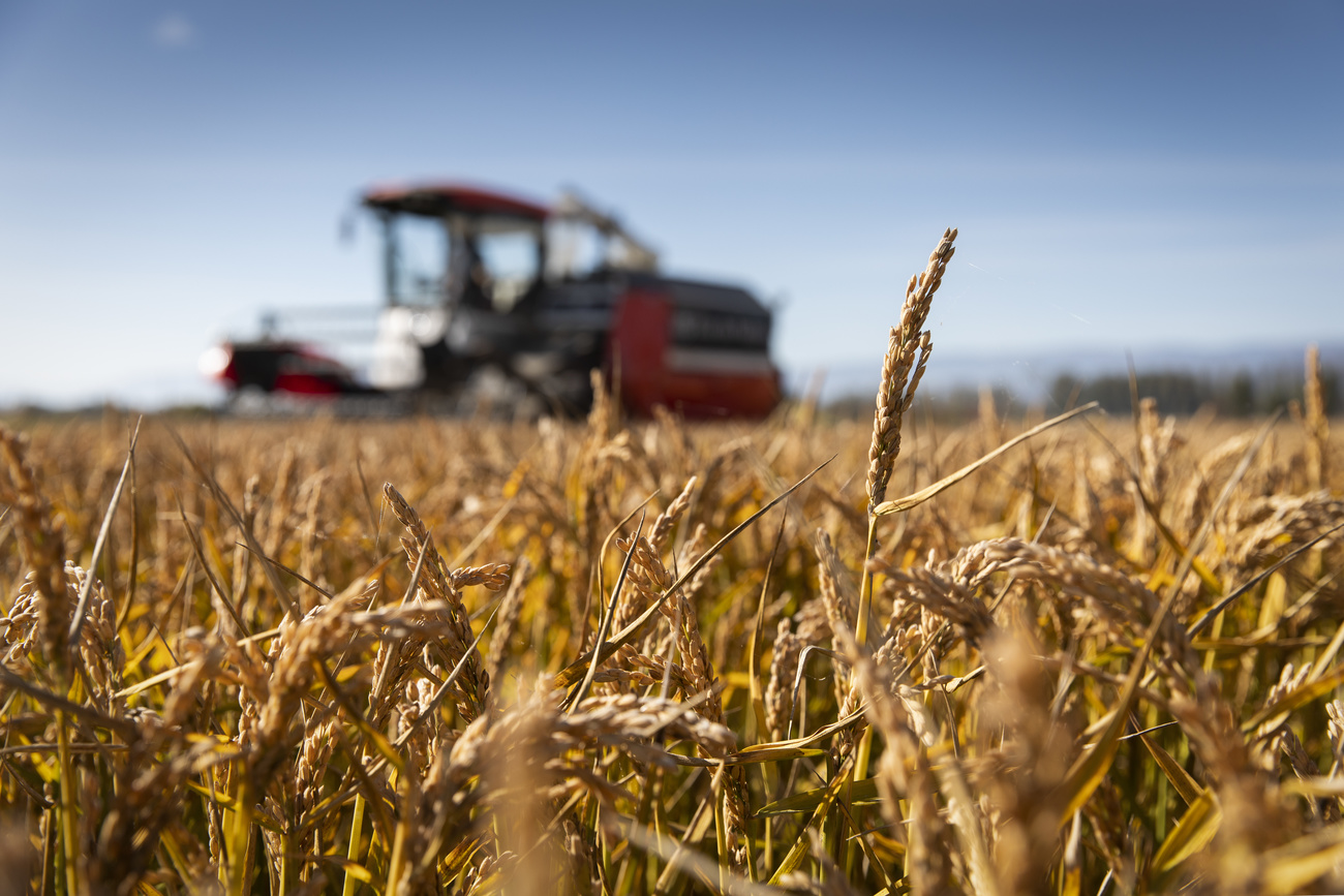 Traktor am Ernten