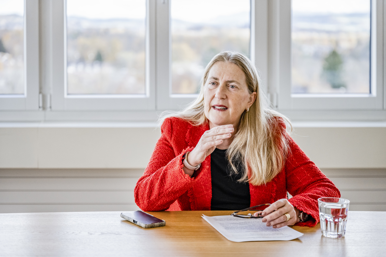 Helene Budliger Artieda, head of the State Secretariat for Economic Affairs (SECO), shared her views on trade agreements with the US and wage dumping in an interview with Tages-Anzeiger newspaper.