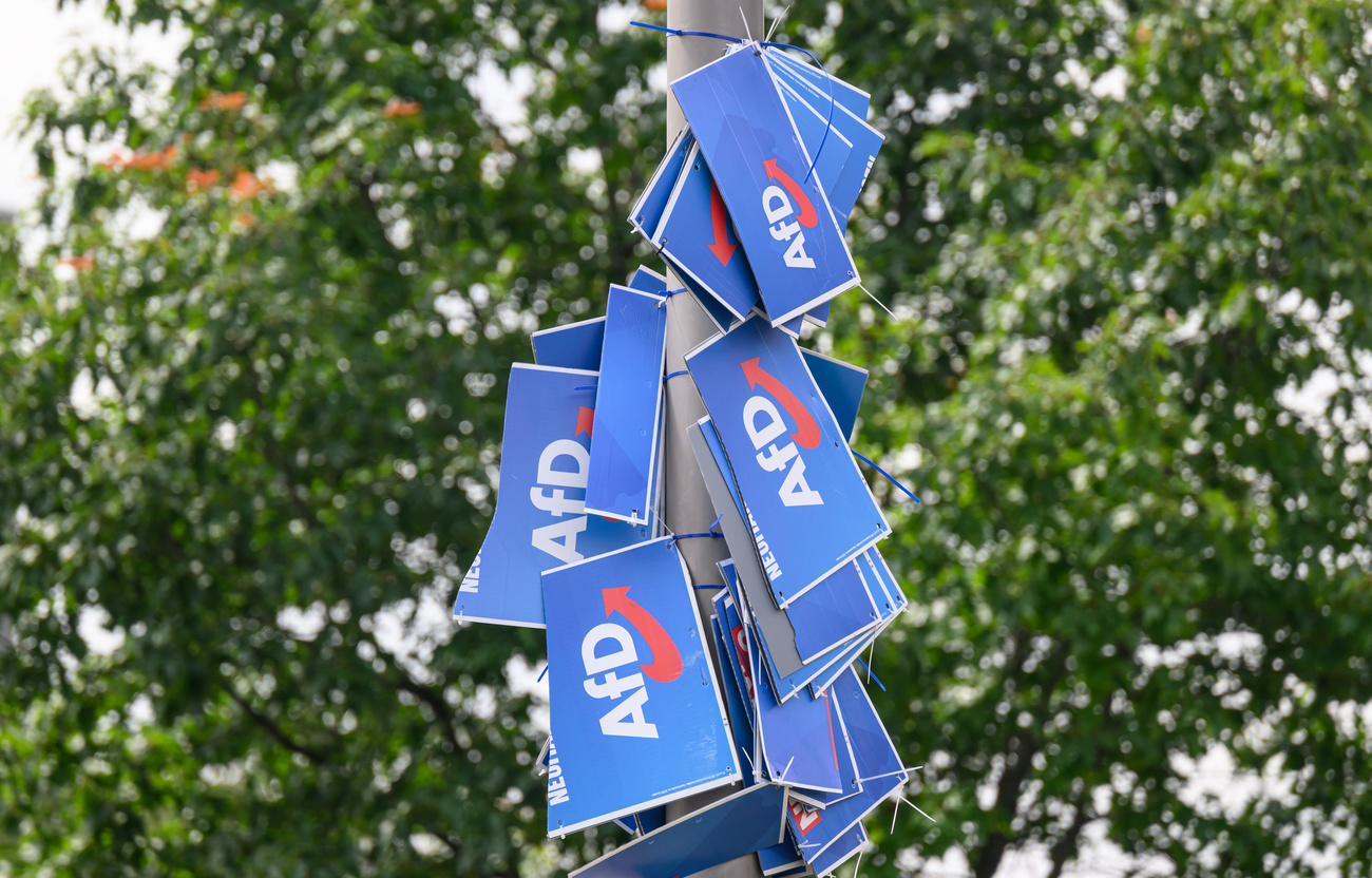 Агитационные плакаты AfD в Дрездене после выборов в Европарламент, июнь 2024 года. Keystone/DPA/Robert Michael