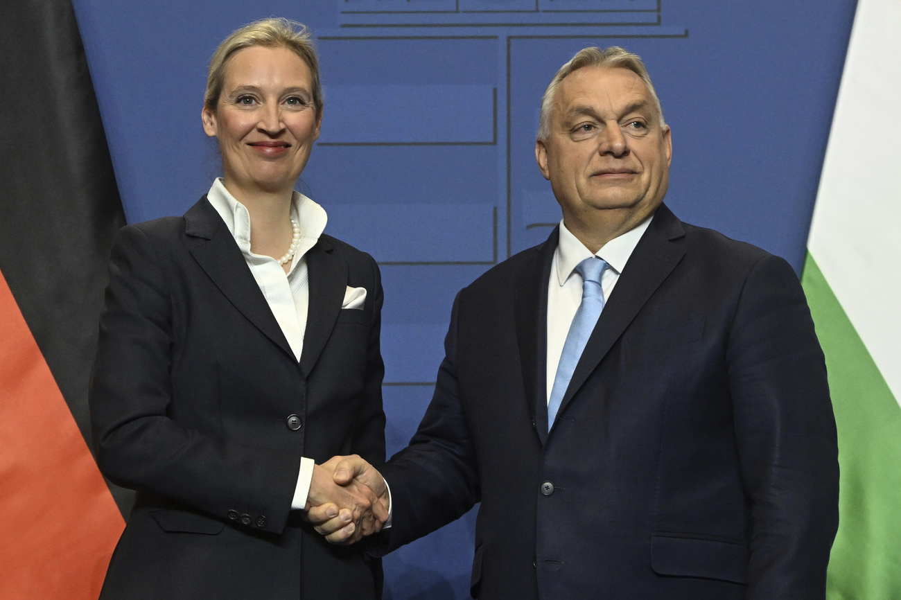 Alice Weidel stringe la mano a Viktor Orban