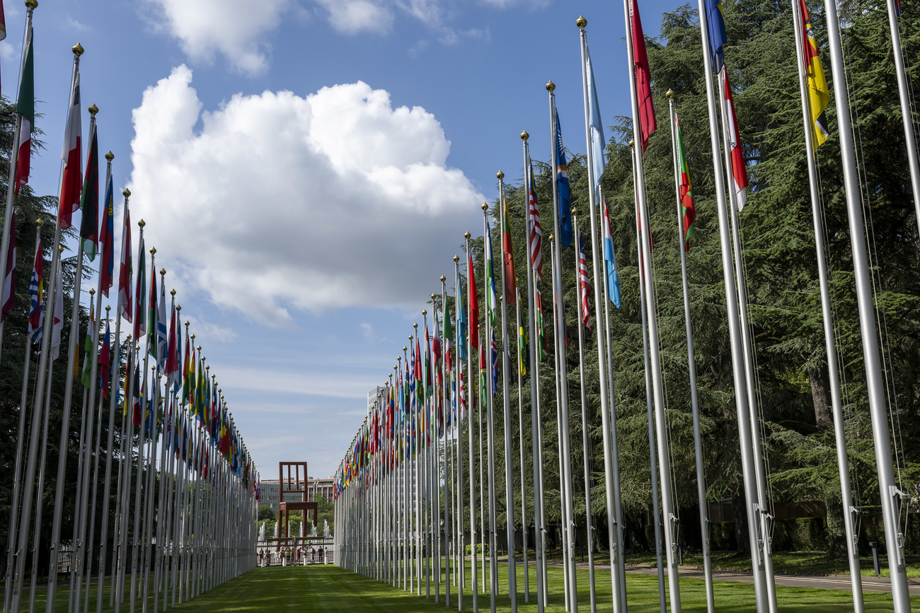 International Geneva is home to many global NGOs.