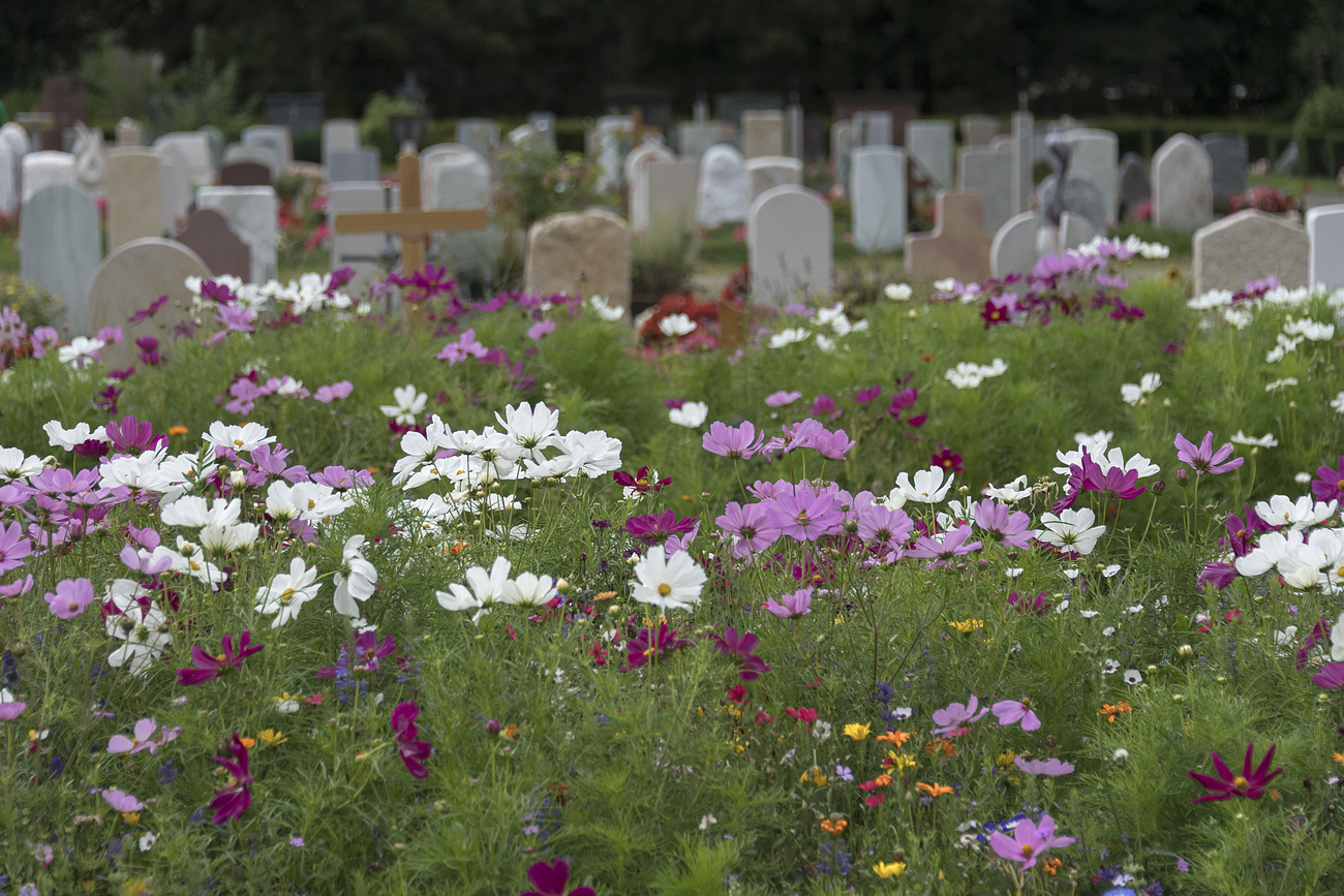 cimiteri con dei fiori