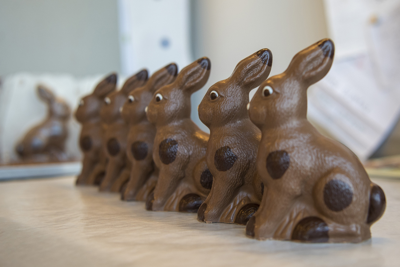 Lapins de chocolat