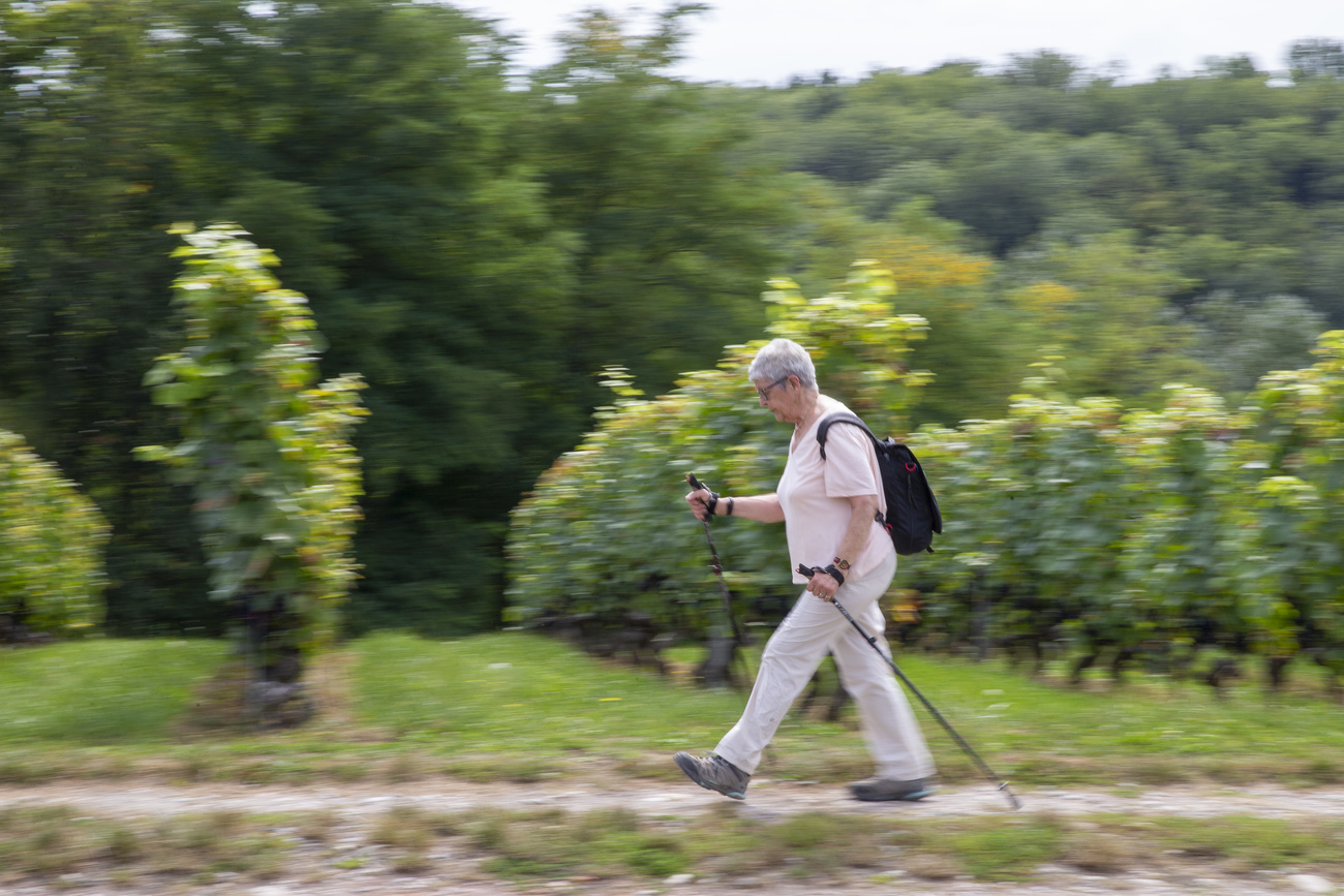 Une dame âgée fait de la marche nordique