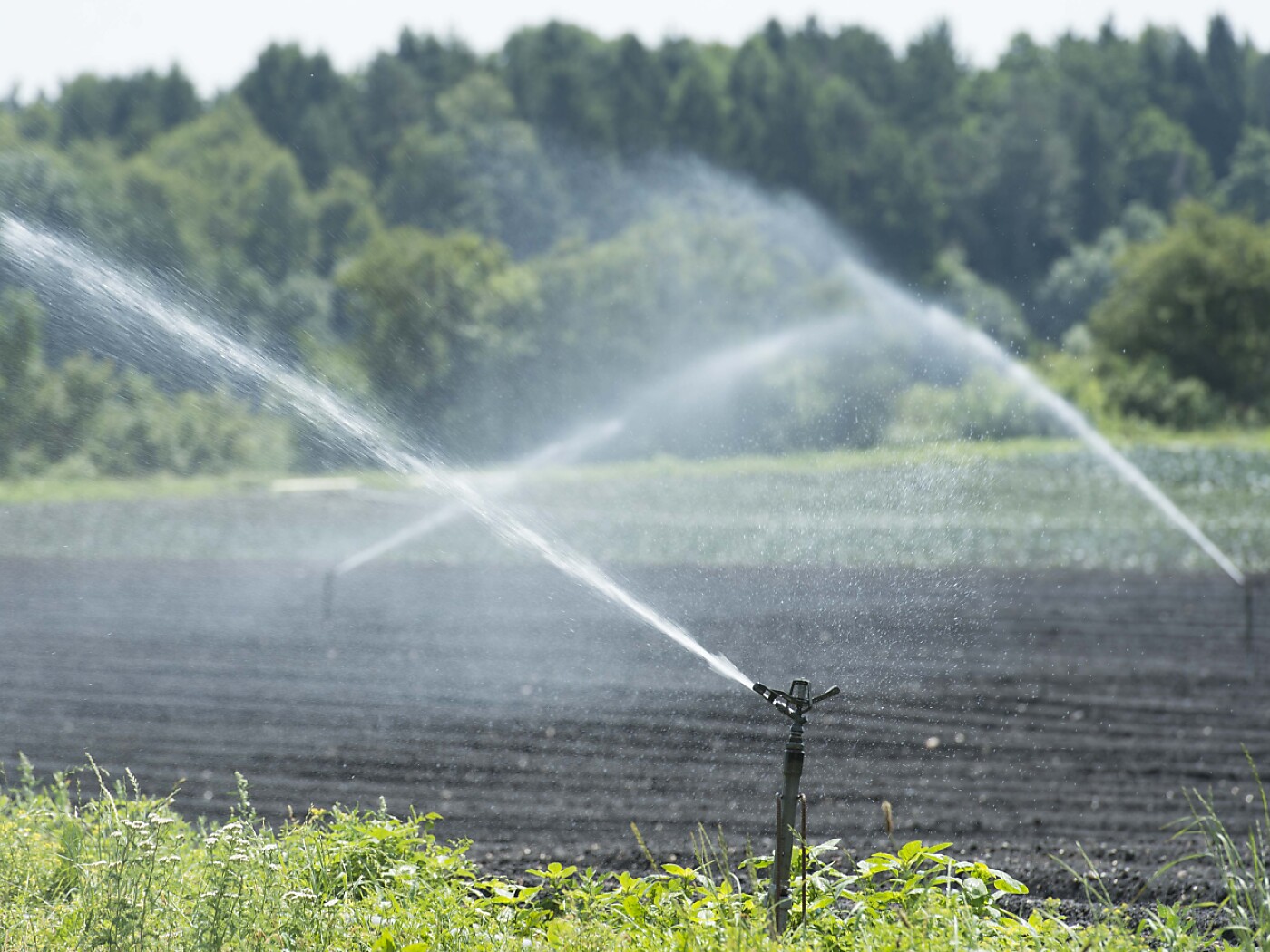 Swiss agriculture is spared from the austerity hammer