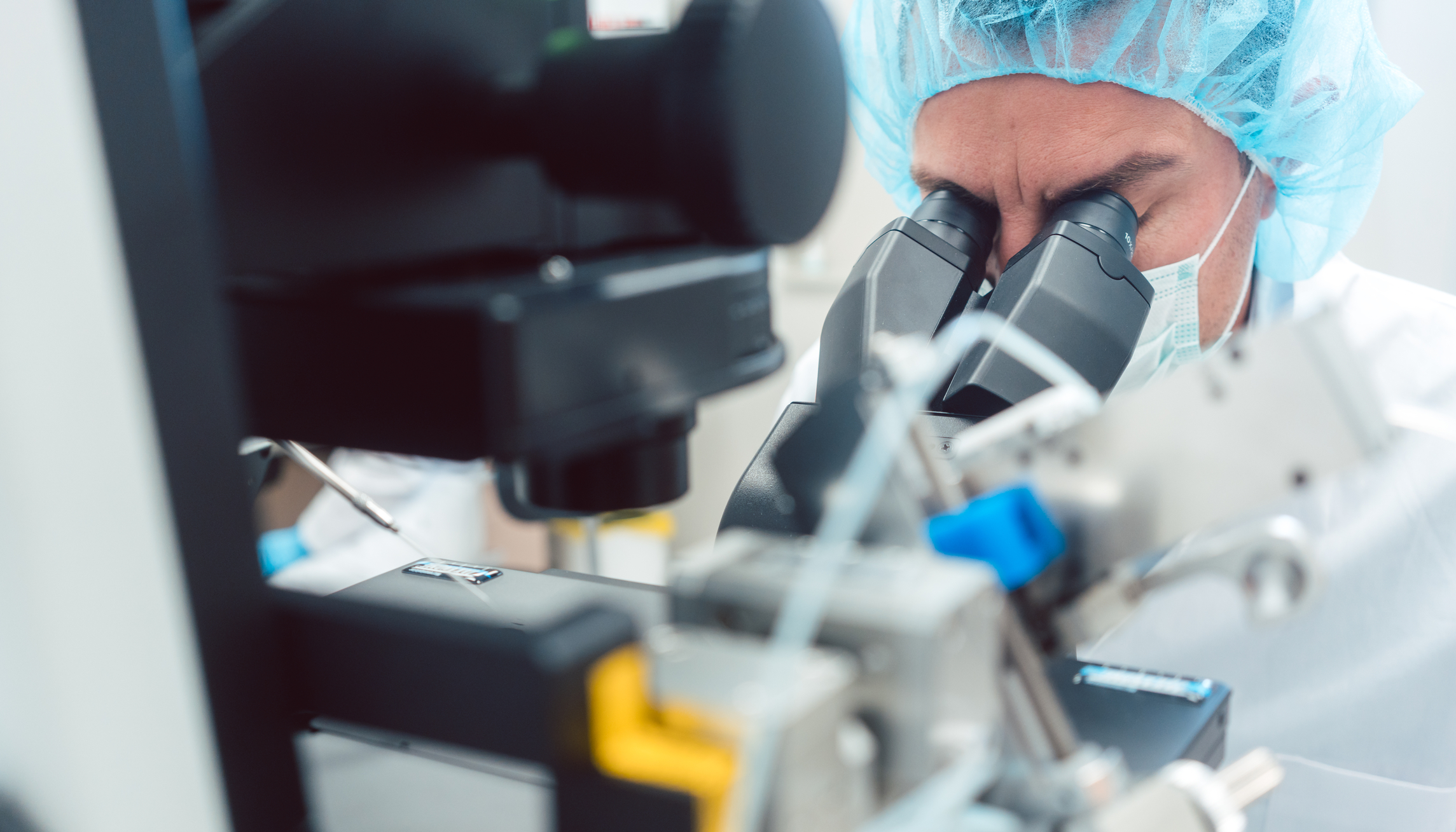 person looking in microscope