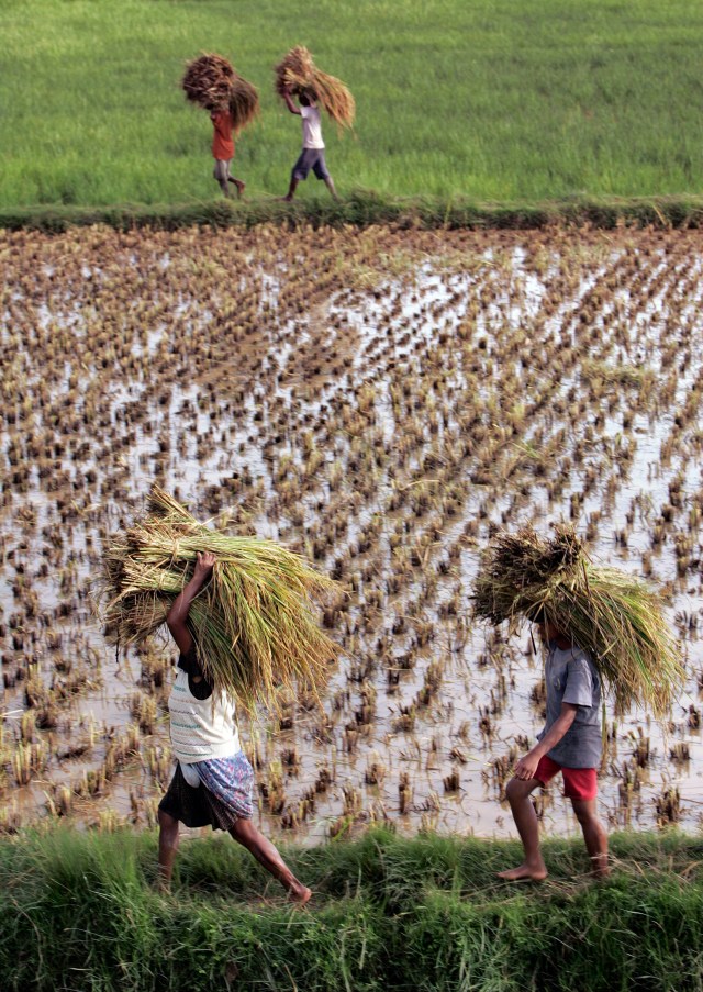 Suíça doa CHF1,5 mi para ajudar vítimas de inundações na África