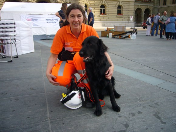 スイスの災害救助犬 国外派遣は減少 協力体制構築に尽力 Swi Swissinfo Ch