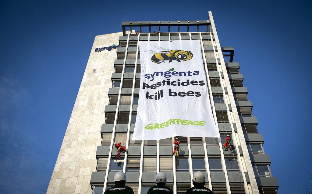 Bayer Loses Fight Over Insecticides Ban That EU Blamed for Killing