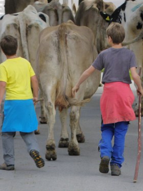 放牧された動物たちのいる日常 スイスの酪農 Swi Swissinfo Ch