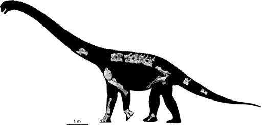 Novo dinossauro gigante descoberto na África do Sul