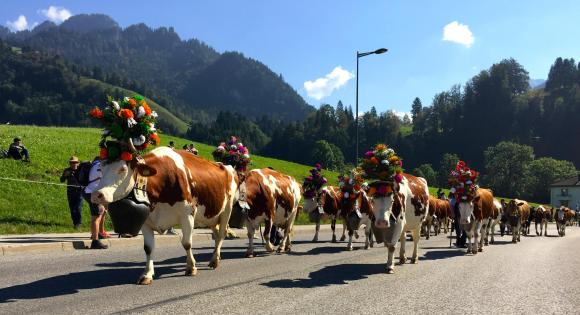 ブログ もっと知りたい スイス生活 Swi Swissinfo Ch