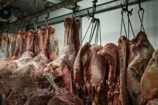 El Gobierno Brasileo Ordena A Tres Frigorficos Retirar Carne Del