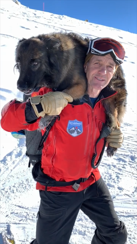 スイスアルプス 雪崩救助犬ウーピーの1日 Swi Swissinfo Ch