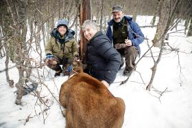 Wie Schweizer Biologen Den Huemul Hirsch Retten Wollen Swi Swissinfo Ch